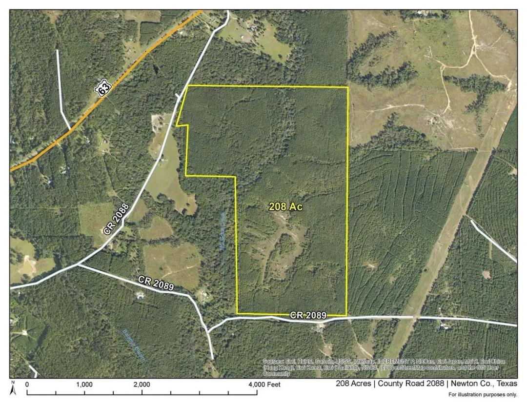 208 Acres | County Road 2088 | 6905