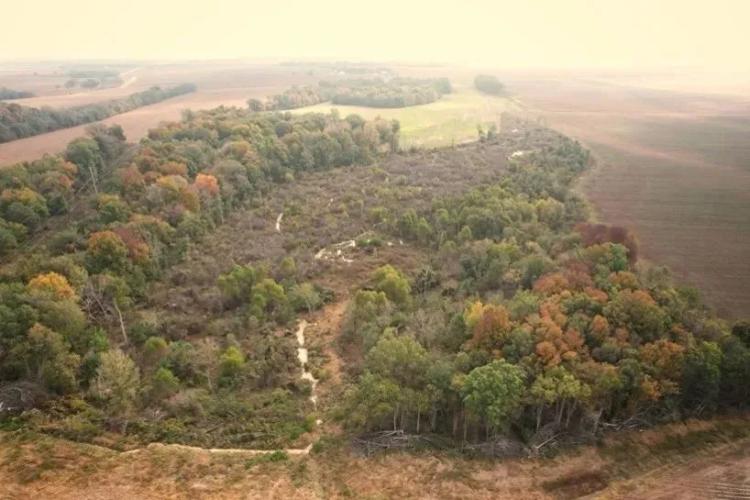 82 Acres in Sunflower County in Ruleville, MS