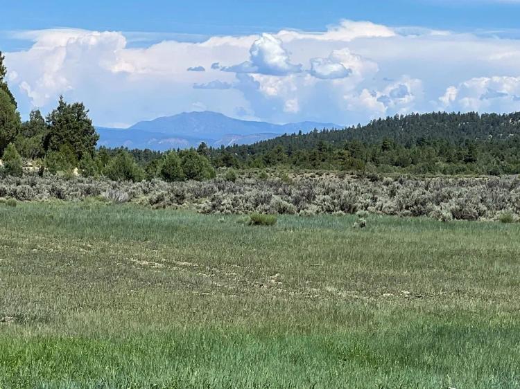 Incredible Elk Hunting Ranch in Chama Valley