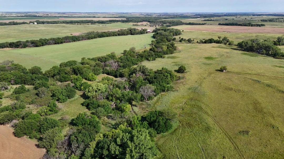 East Hobbs Creek Road Hunting Haven | Saline County, KS 230 Acre