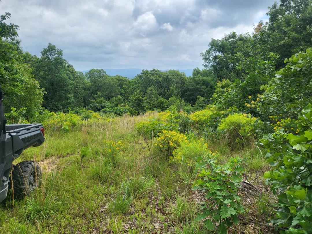 20 acres with legal recorded easement