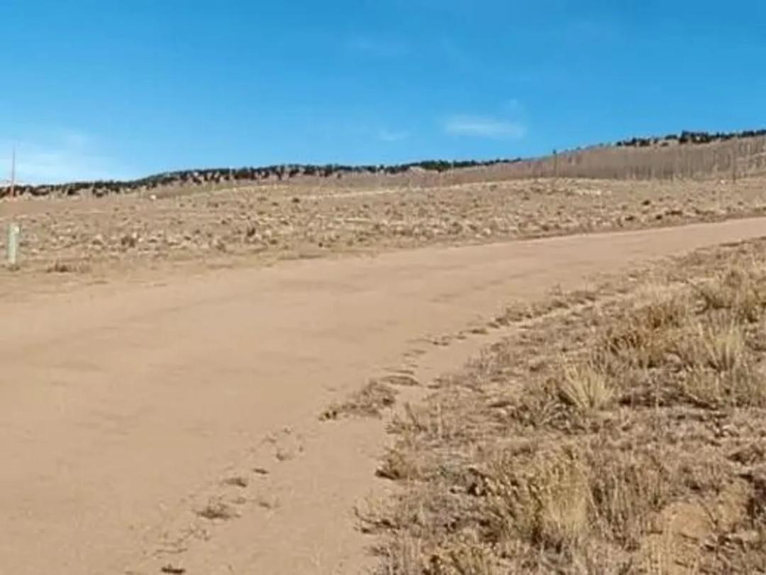 Lot 194 Veery Way