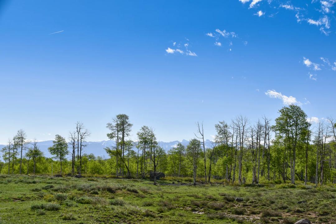 7+ Acres on Horsefly Mesa