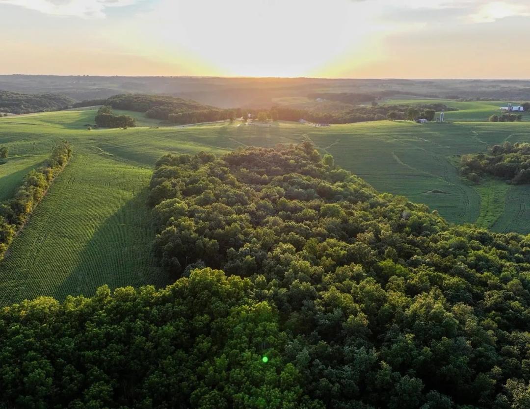 Listing #19710 - 129.53 acres in Vernon County, WI