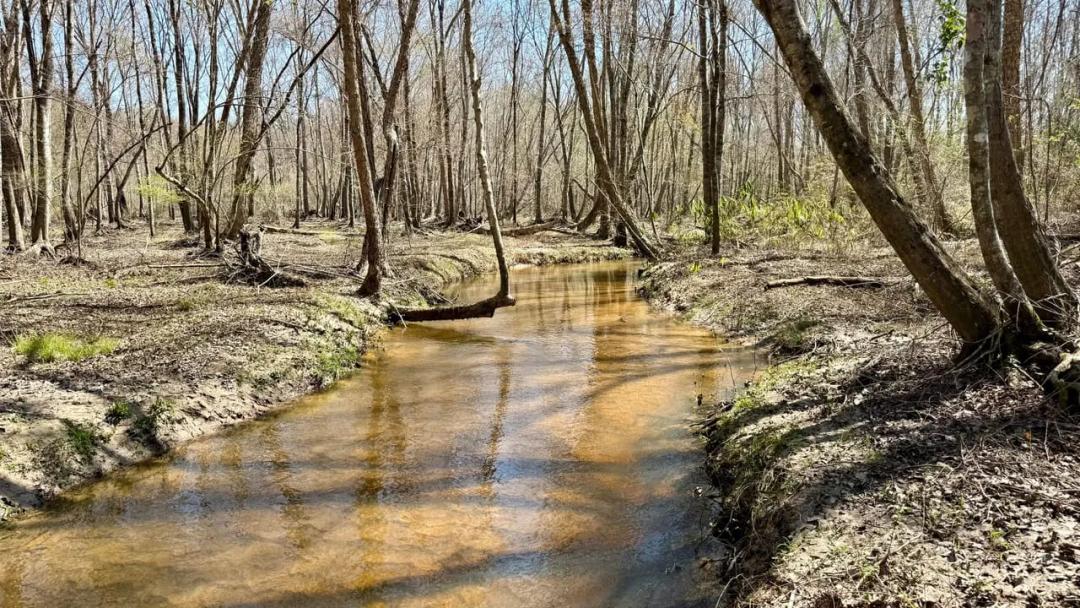 Beautiful Creek Frontage and Great Hunting