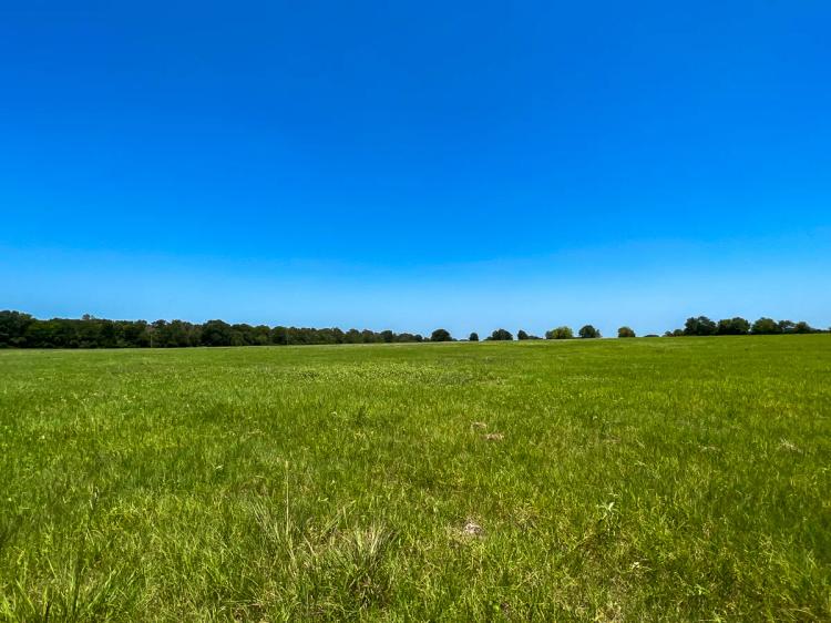20 Acres | T-5 | County Road 3625