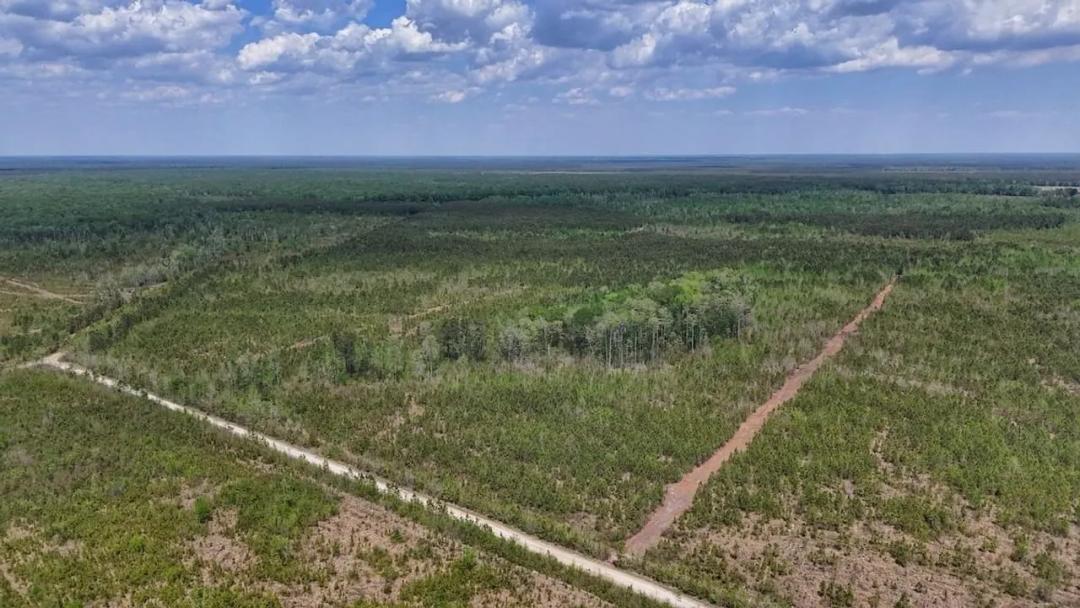 35 acres of Recreational Timberland For Sale in Craven County!
