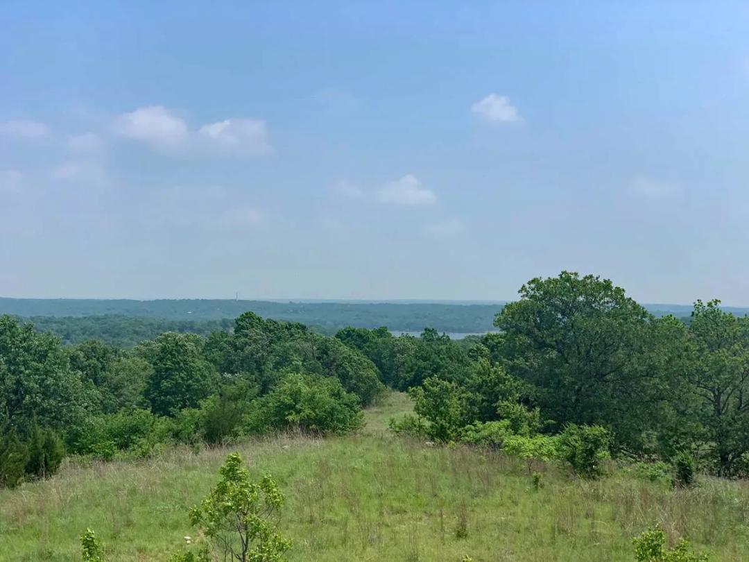 Arbuckle Lake, 106 Acs of OK Recreation or Investment Land