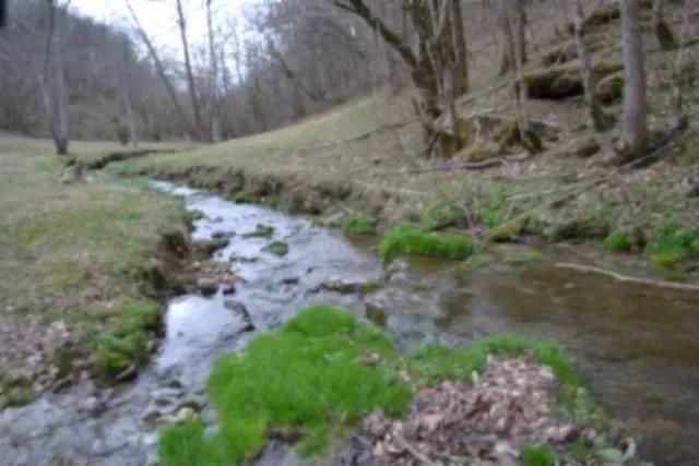 213.68 AC W/ A HOME, BARN, CREEK, CLEARED PASTURE AREAS, TRAILS – ROADS / AT THE DEAD END OF THE ROAD