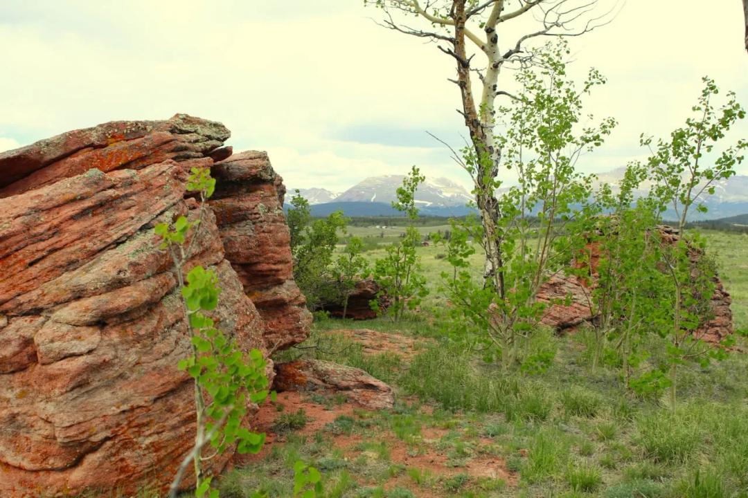 Elk Alpine Haven