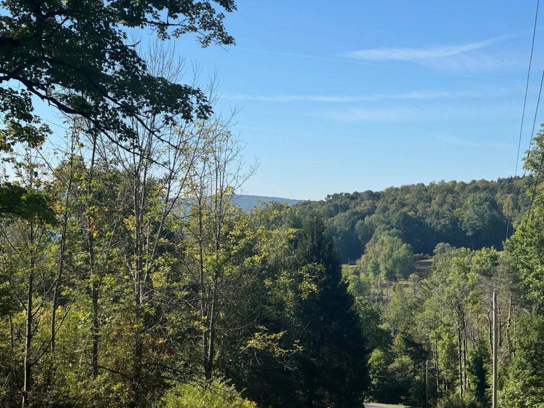 Unadilla Land with frontage on two roads