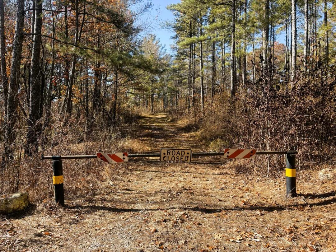 1 Bedroom1 Bathroom on 10.00 Acres at 0 Pocket Road