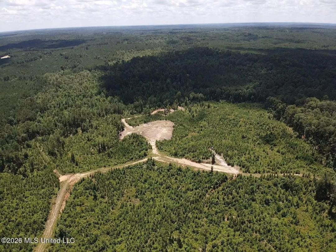 Wilkinson County MS Hunting Land for Sale 
