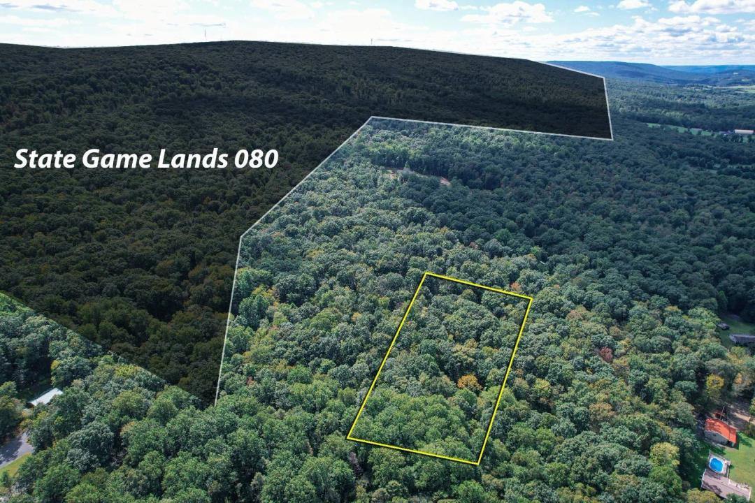 Lot 2 Trophy Drive: Wooded Building Lot Near State Game Lands 08