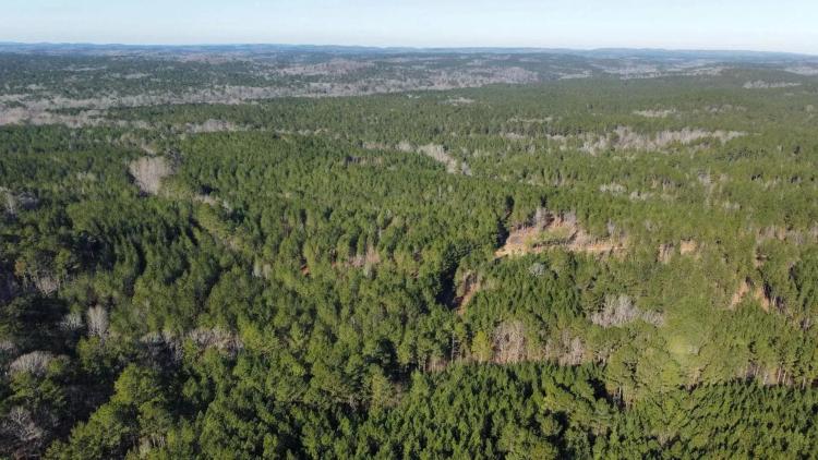 56 +/- Acres Thomaston, GA