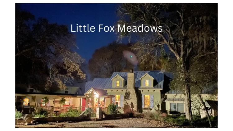 Little Fox Meadows | 230 Hausmann Gin, La Grange TX 78945