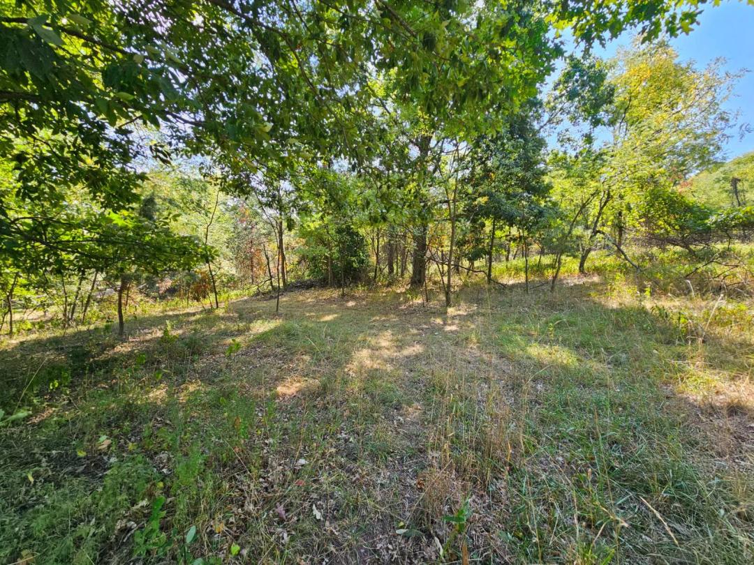 NEARLY 5 ACRES IN A BEAUTIFUL COUNTRY AREA!