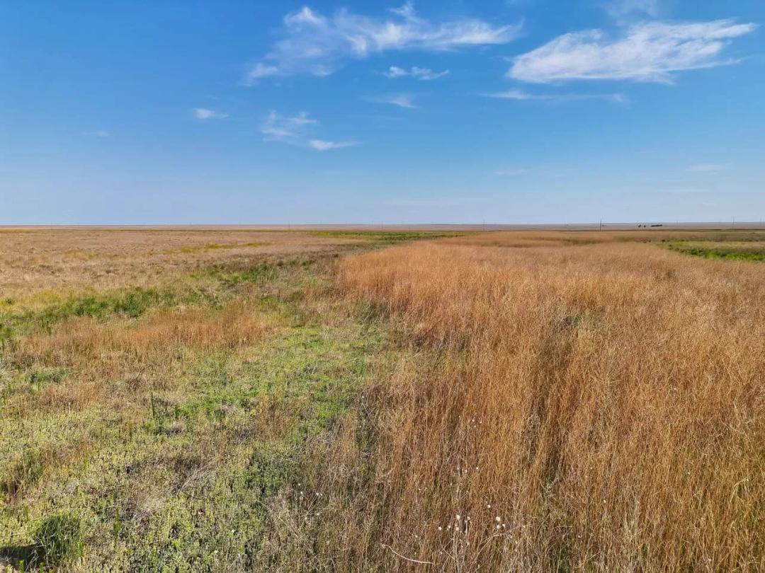 Section of CRP with Newly Accepted Contract