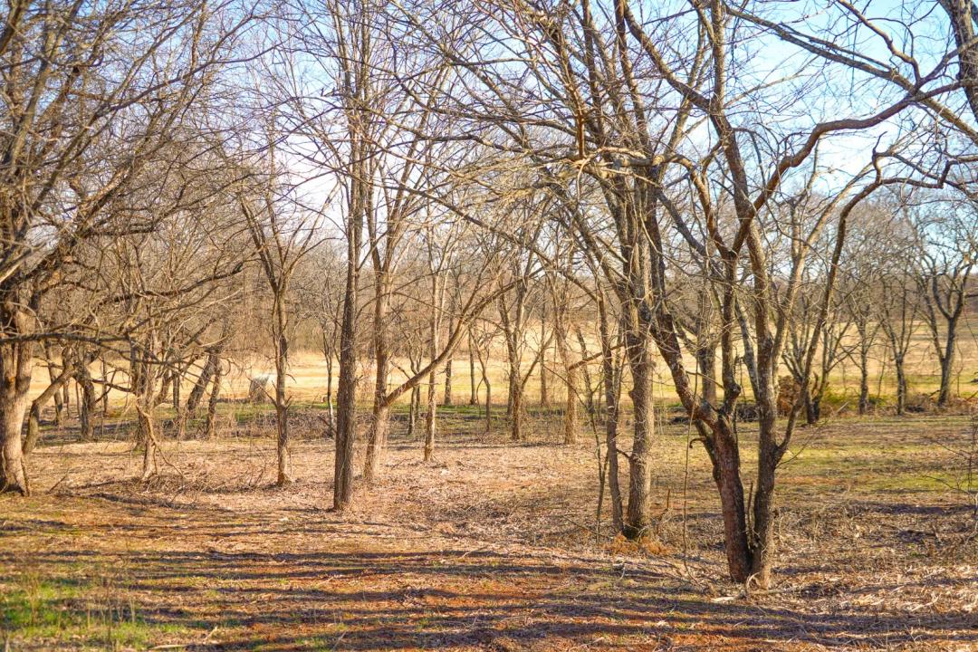 Arcadia, OK 5 Acres in Edmond School District