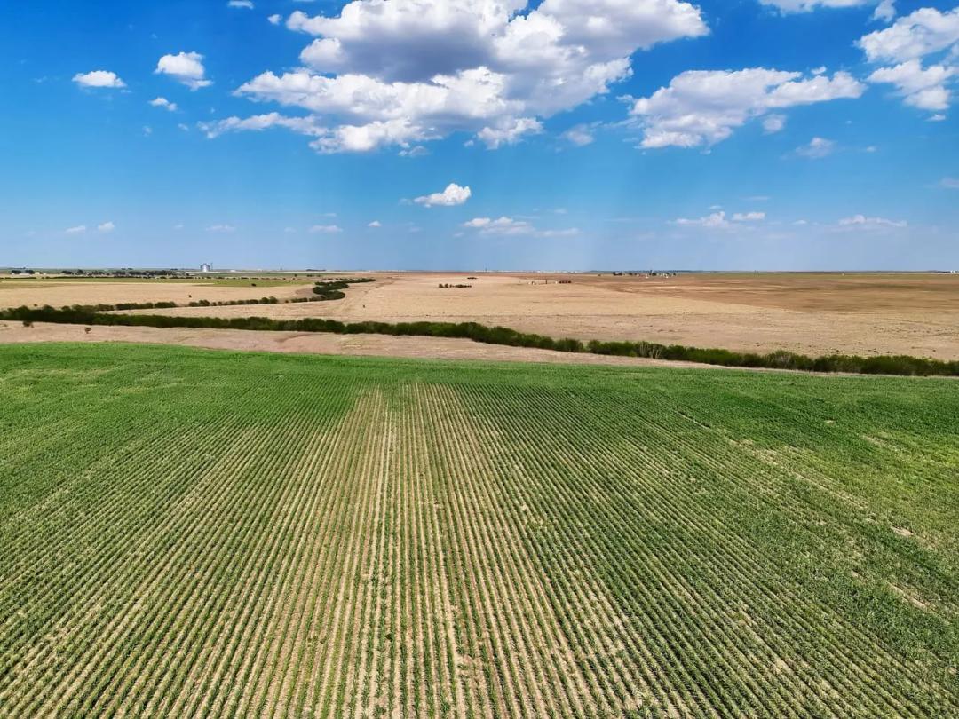 Morton County, KS 59.7 - Cropland with North Fork Cimarron River Frontage