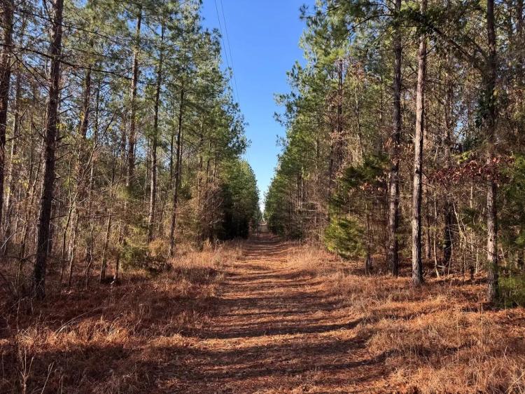 178.71 Acres, In Camp Hill, Tallapoosa County, AL