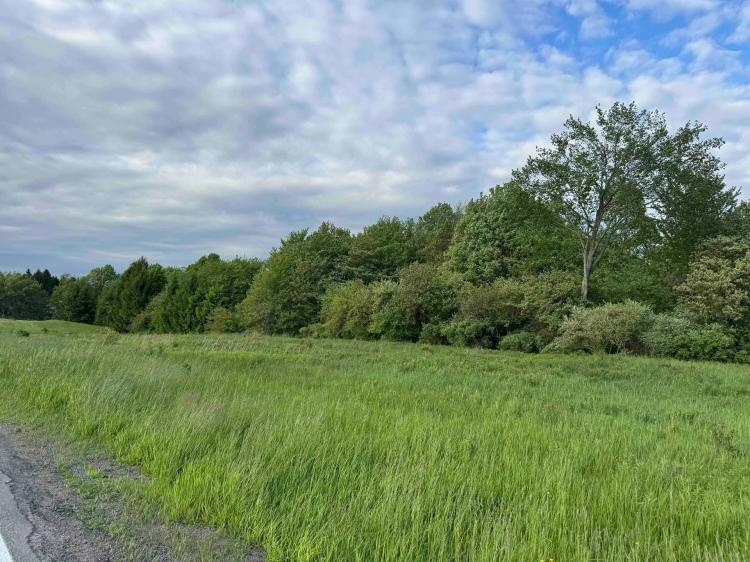 19 acres Hunting Land and Recreational Land in Springville NY Grote Road