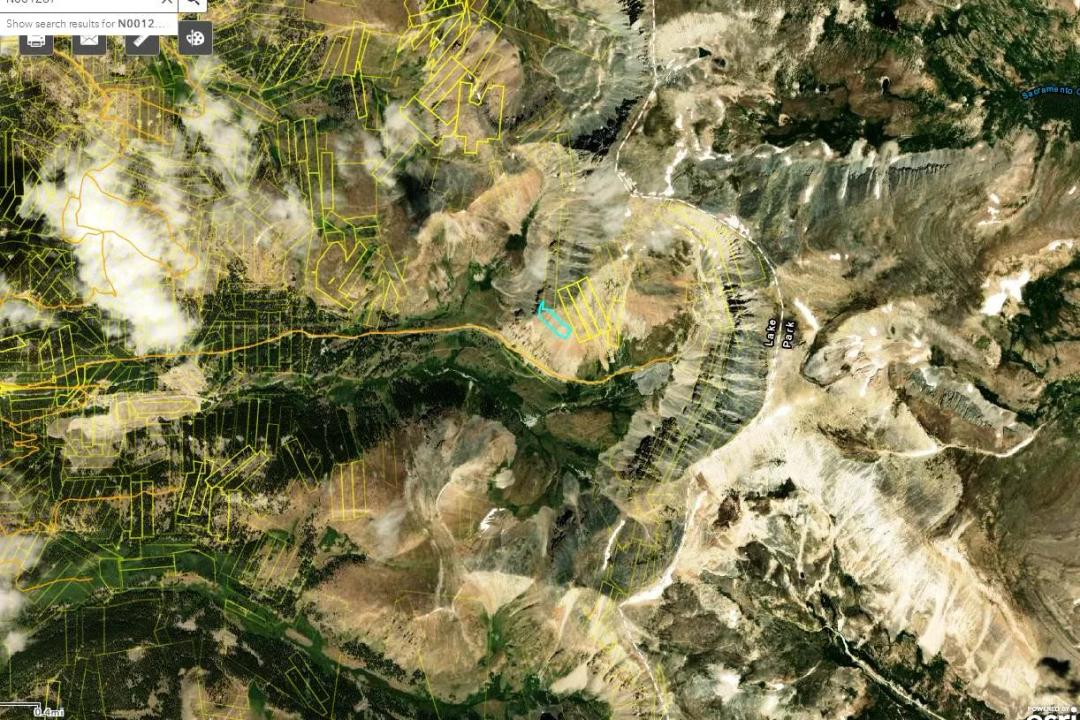 Revenue * Patented mining claim * Lake county Colorado *