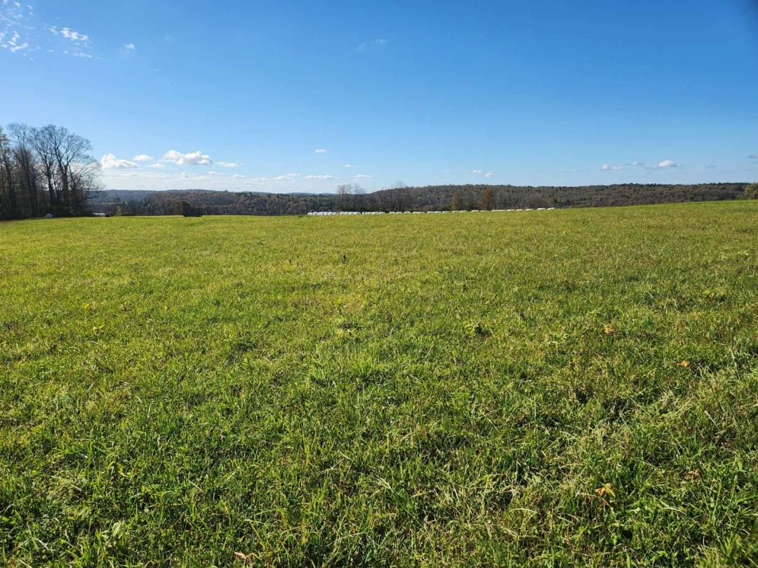 62.72 Acres at 000 Hoffman Road