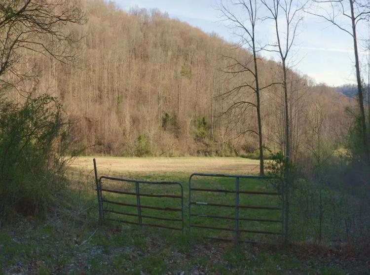 East Tennessee Mountain Retreat for Sale Scott County TN