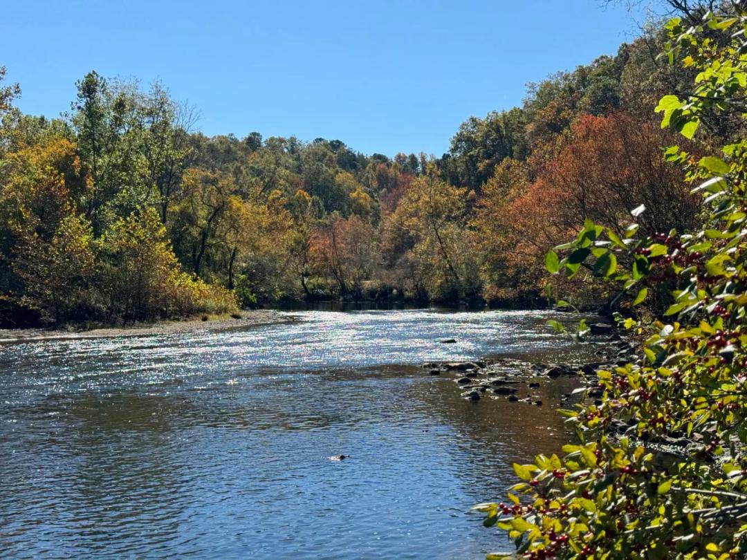 87.77 Acres at 4136 Rose Creek Rd