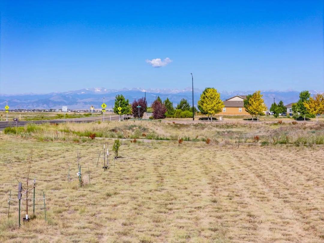 Rare In-town Acreage