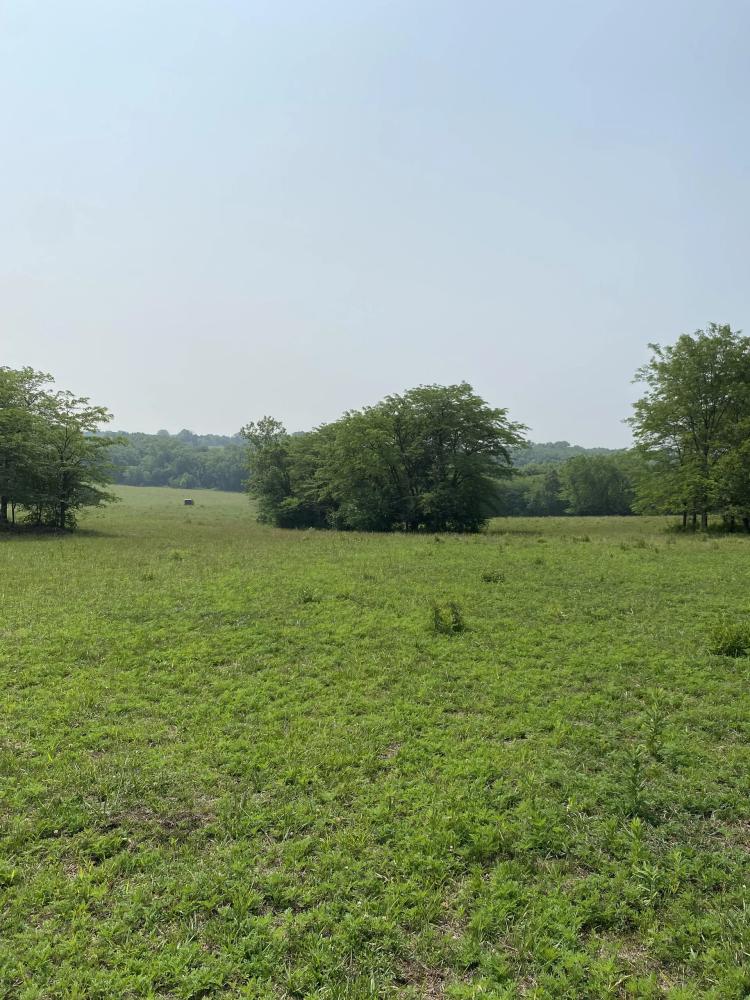38.65+/- Acre Hunting Tract