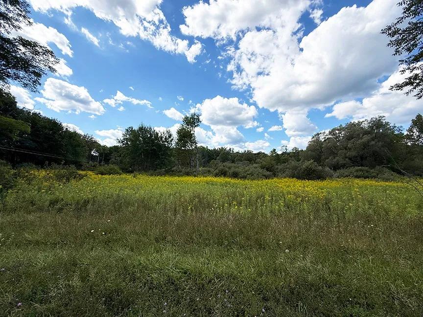 18.14 Acres at L 9-11 Armstrong Rd &amp; Co Hwy 28