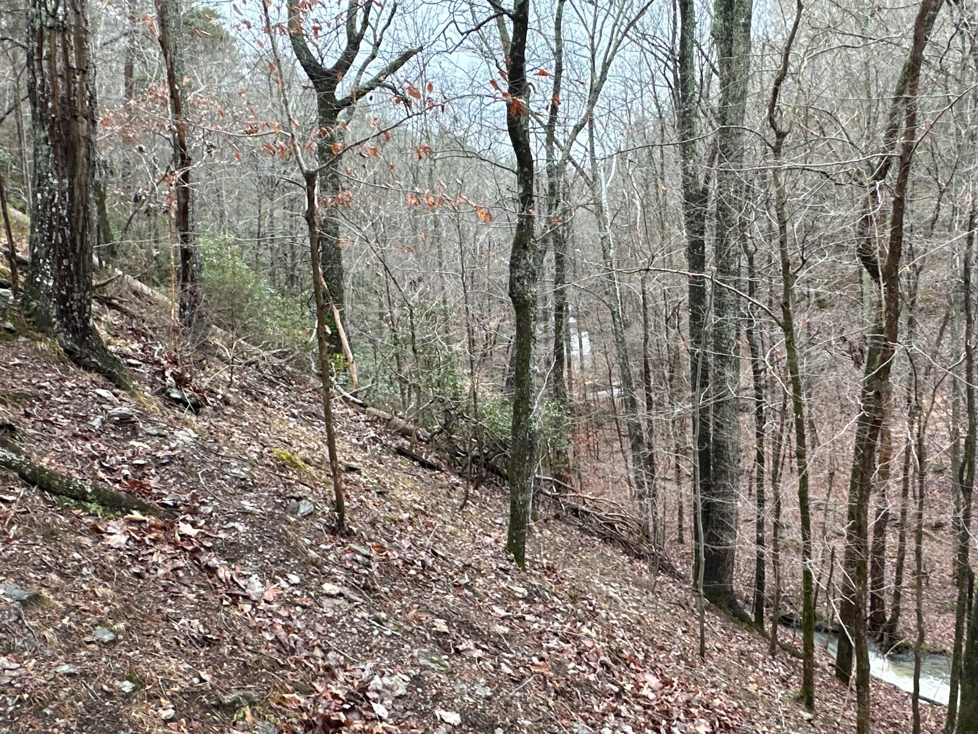 19890637-9