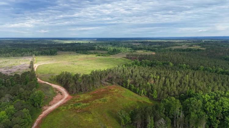 149 +/- Acres, PASTURE!!! Standing Rock, Chambers County, AL