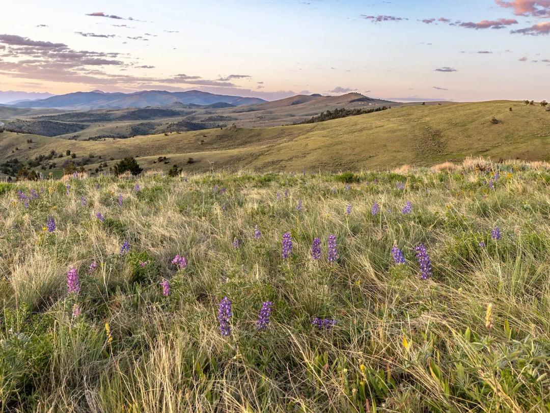 Carter Creek Ranch