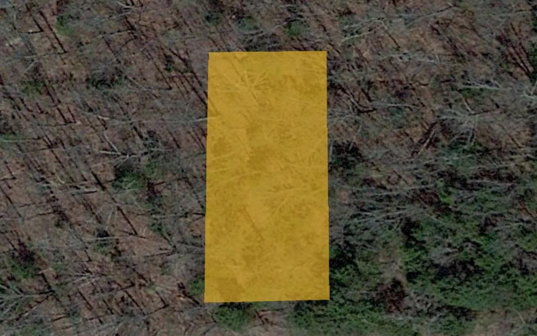 0.23 Acre Land for Sale in Horseshoe Bend, Arkansas