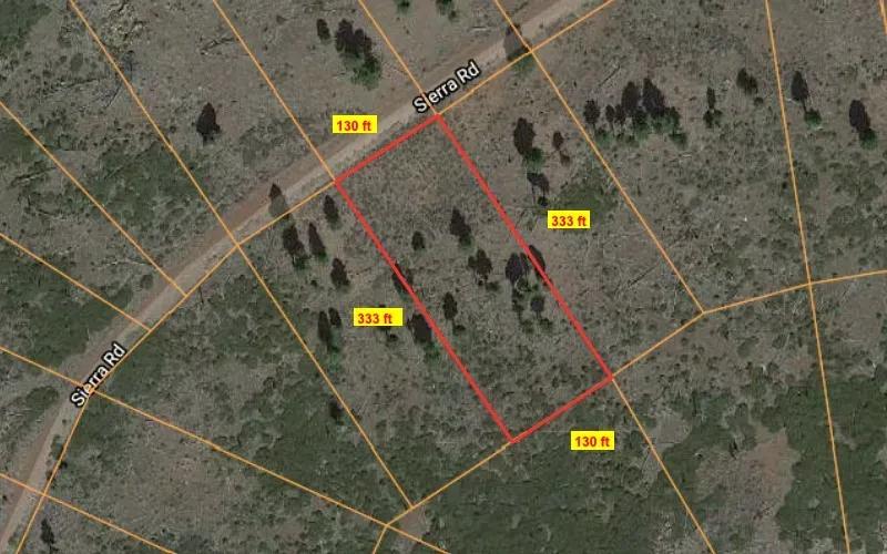img_PID-9051-GIS-Parcel-Aerial-View-with-Dimensions