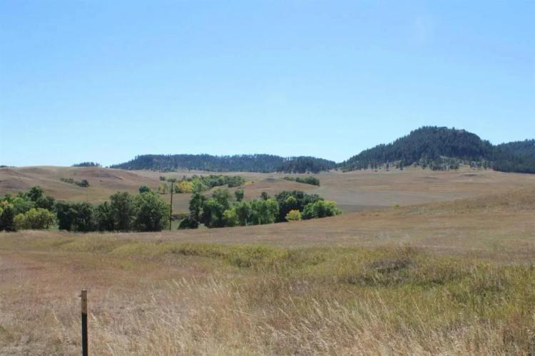 Excellent Horse Property