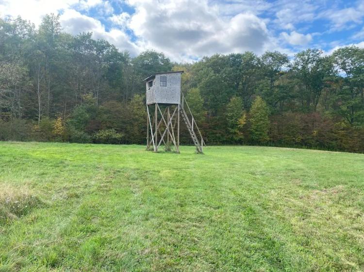 59 acres Hunting Land with Creek and Food Plots in Hinsdale NY 25 Bunny Rd