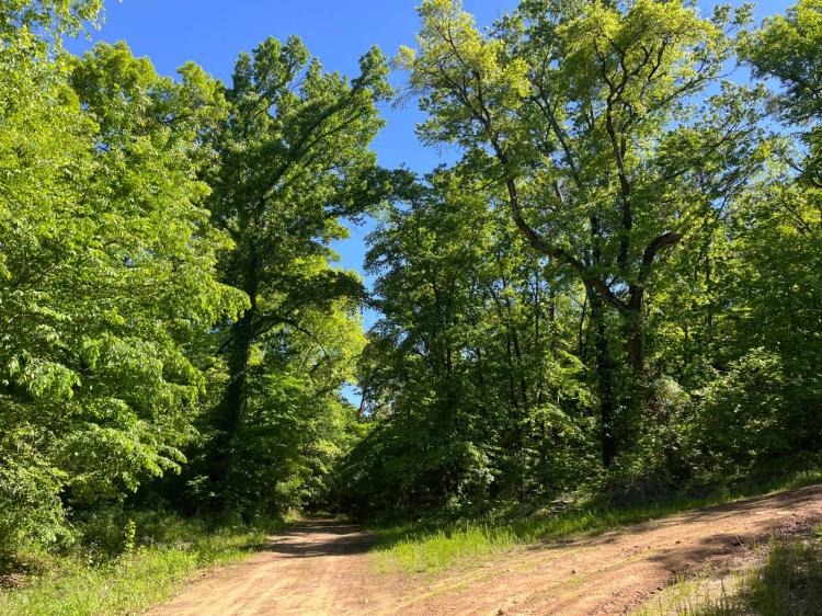 10.00 Acres at 453 Se K St
