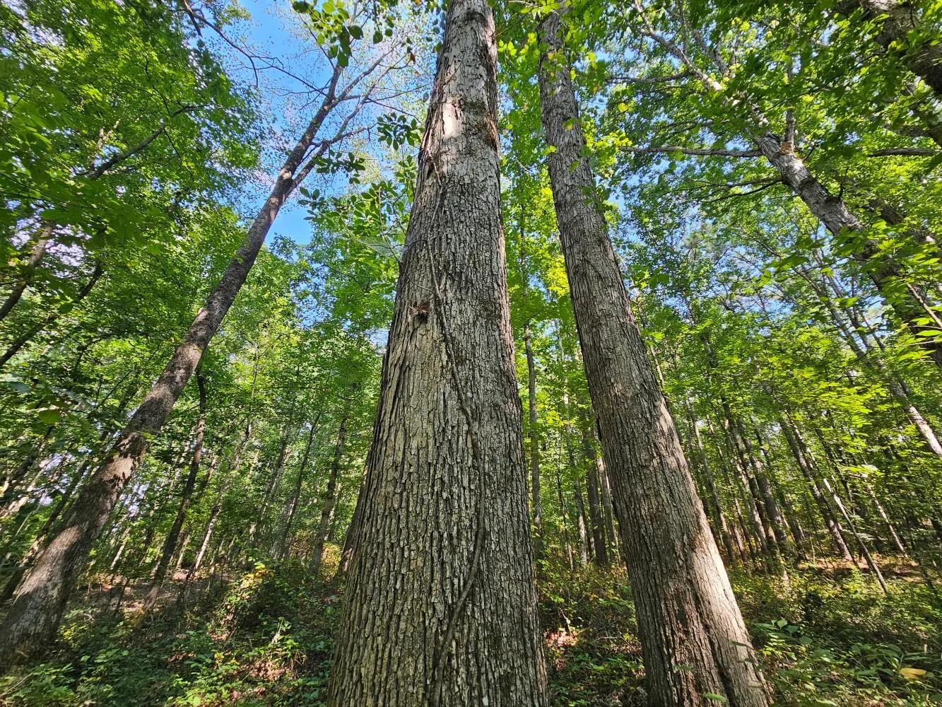 20045712-23