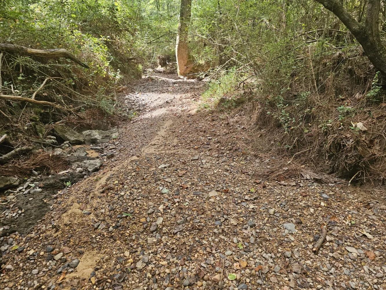 20045712-25