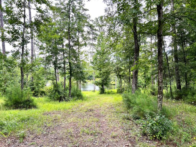 03-047-acres-of-grace