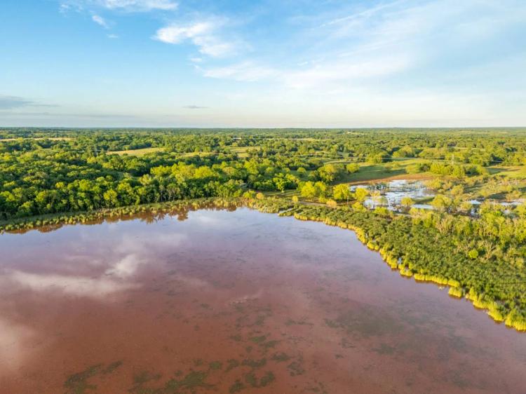 Sprig Valley Marsh
