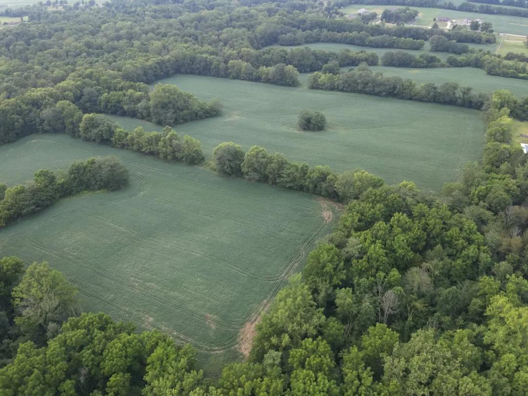 LAND FOR SALE | 59.5 +/- ACRES, | POSSIBLE BUILDING LOT- WOODED/TILLABLE | GREENFIELD, INDIANA | HANCOCK COUNTY