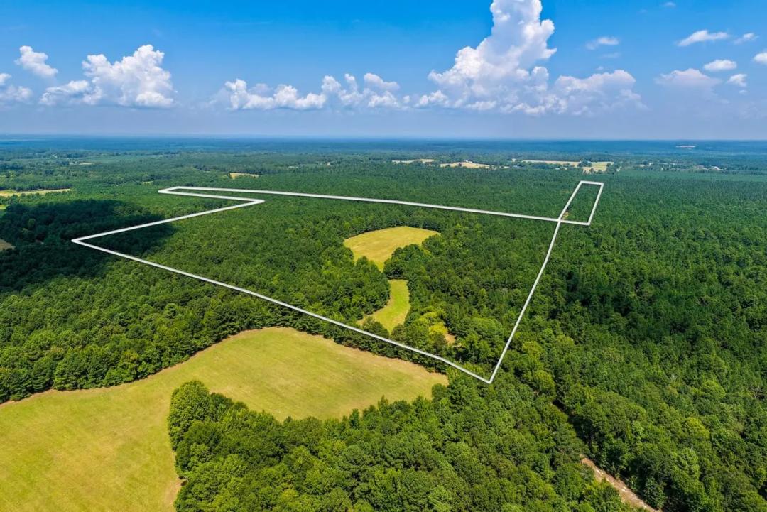 56± Acres | Timber, Hay Meadow & Former Homesite | Arkadelphia, Arkansas