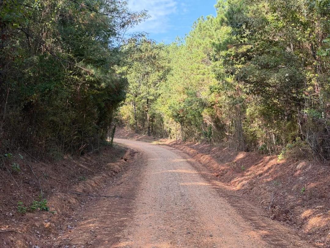 W. Stateline Road Tract, Claiborne Parish, +/-37 Acres