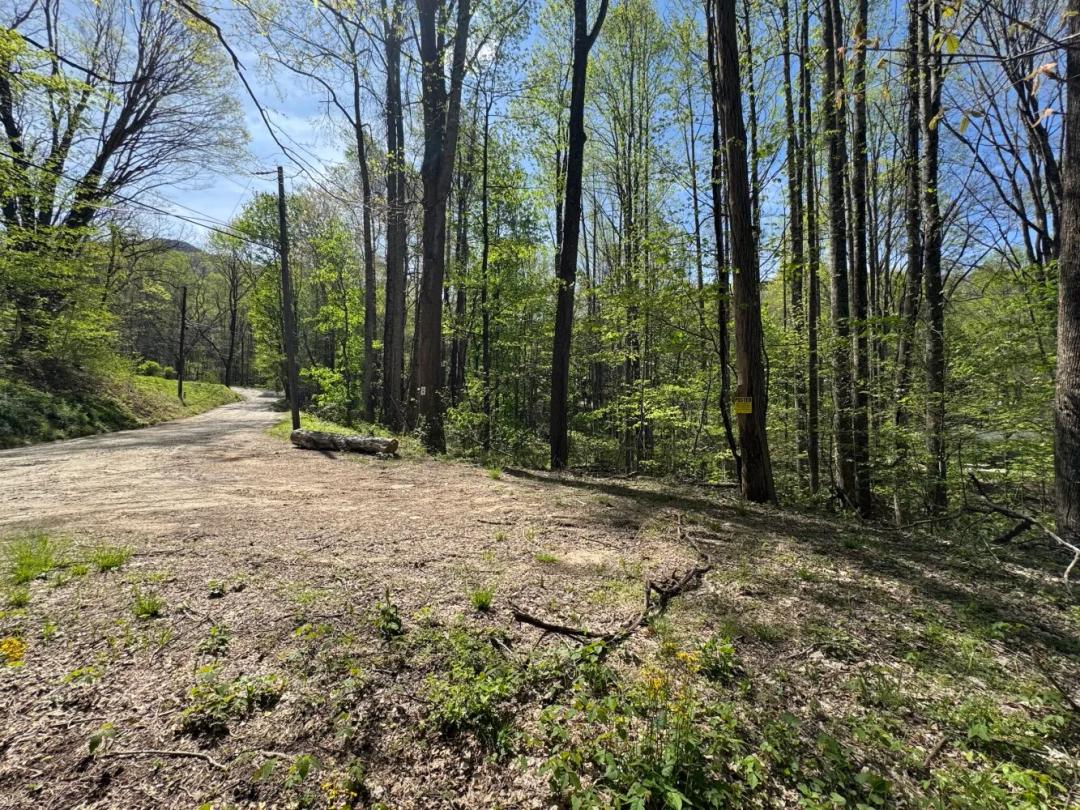 7.55 Acres at  TBD Browning Branch Rd