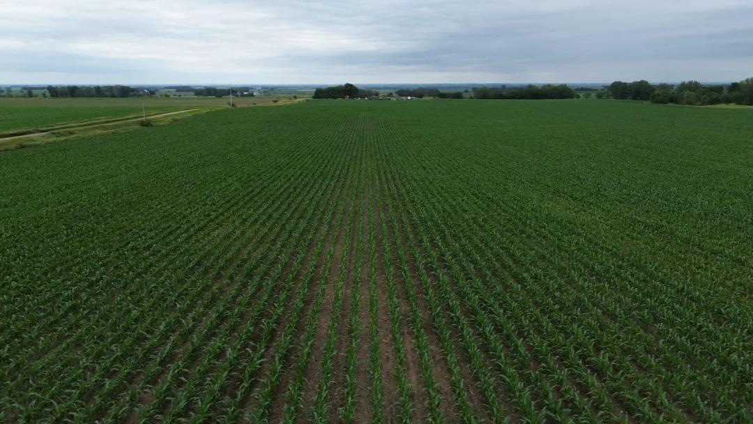 Clay County, SD 42.5 Acres
